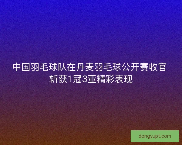 中国羽毛球队在丹麦羽毛球公开赛收官 斩获1冠3亚精彩表现